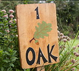 Safari Tent Glamping in Devon Safari Tent Glamping in Devon